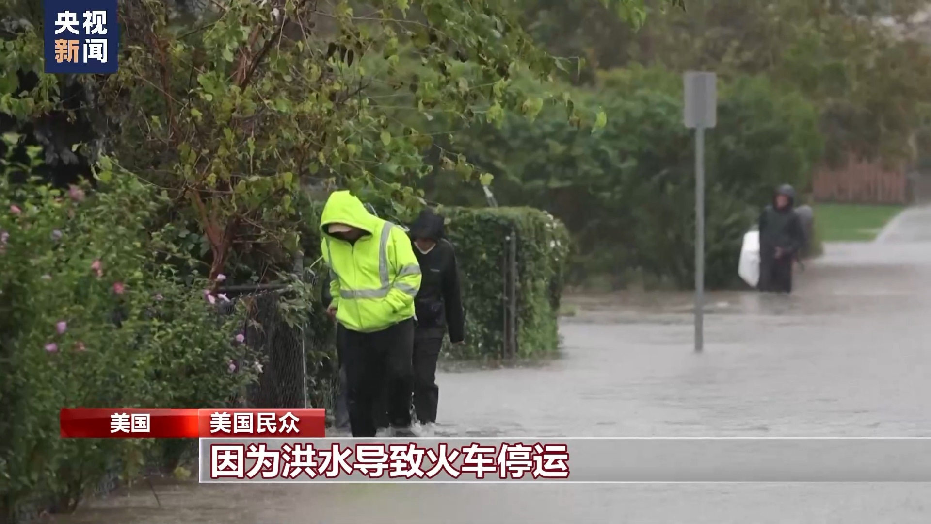 斗鱼黄金大奖赛第五季